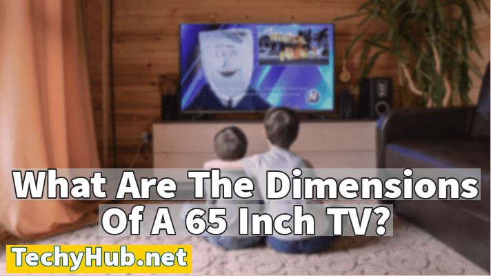 What Are The Dimensions Of A 65 Inch TV?